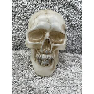 Rare Vintage Realistic Halloween Skull Head Prop Spooky Creepy Electronic